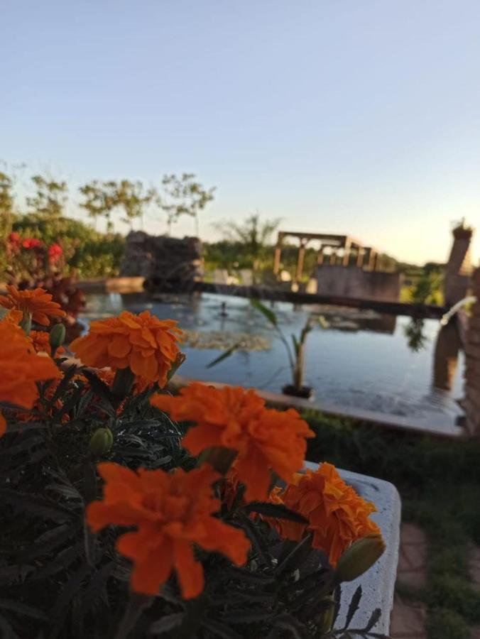 Bed and Breakfast Fattoria Il Laghetto Ламеция-Терме Экстерьер фото